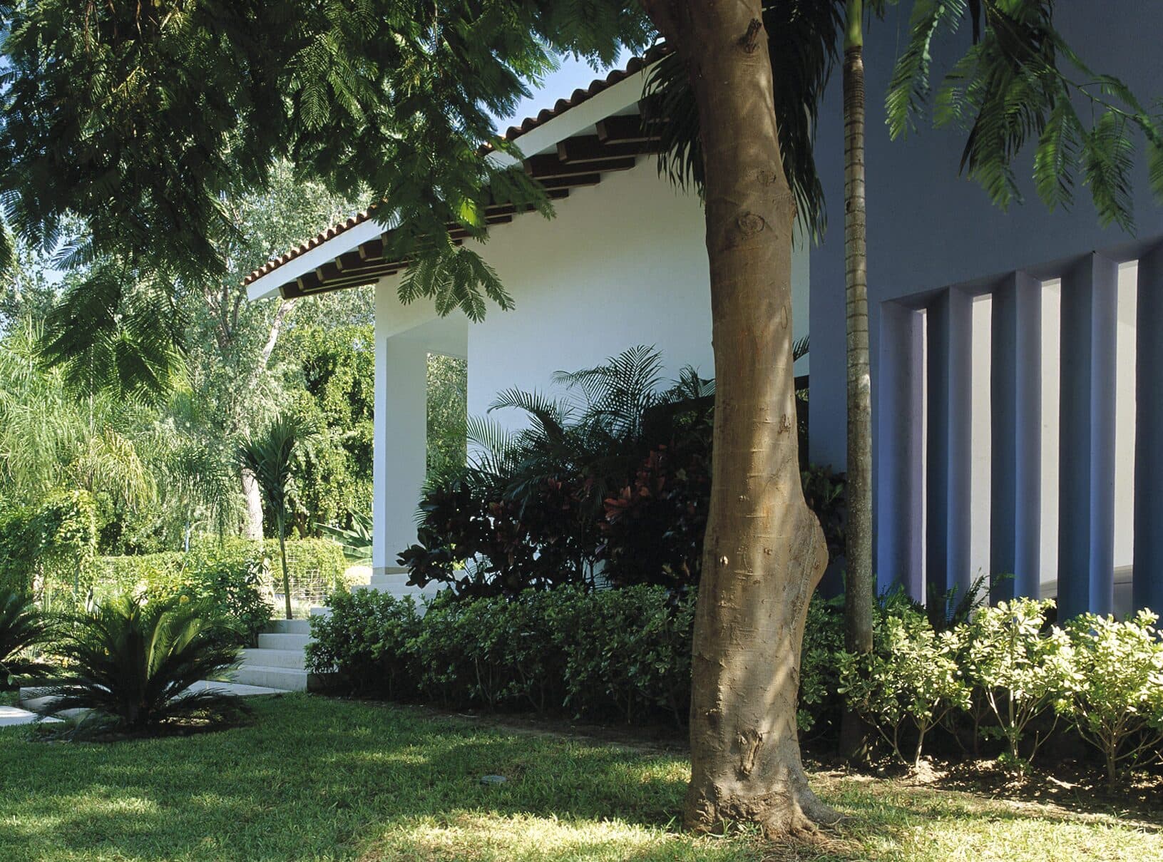 Casa Los Álamos V